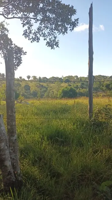 Foto 11 de Chácara à venda em Urucuca - BA
