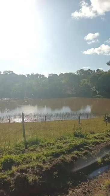 Foto 7 de Chácara à venda em Urucuca - BA