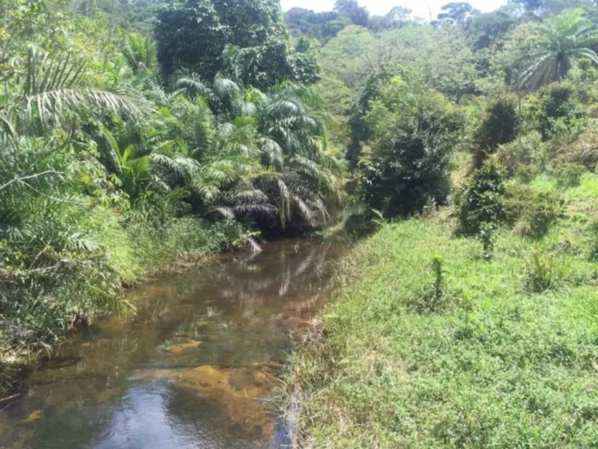 Foto 1 de Sítio / Rancho à venda em Urucuca - BA