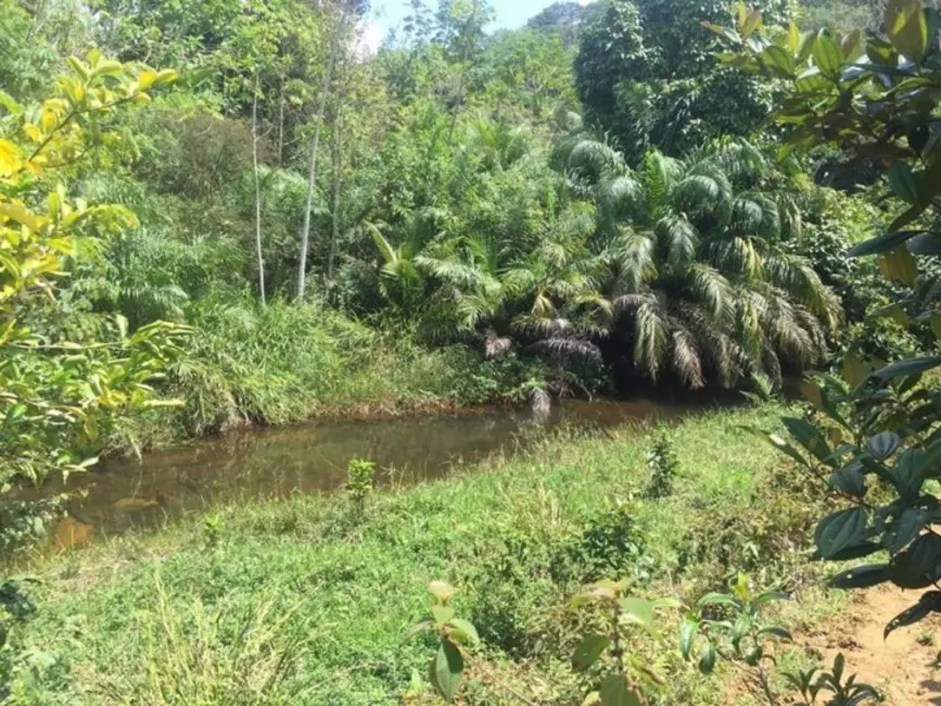 Foto 2 de Sítio / Rancho à venda em Urucuca - BA
