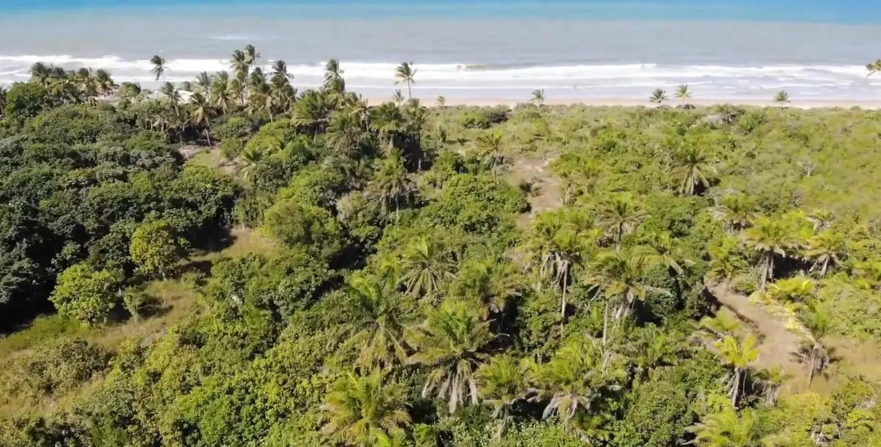 Foto 9 de Terreno / Lote à venda, 20000m2 em Urucuca - BA