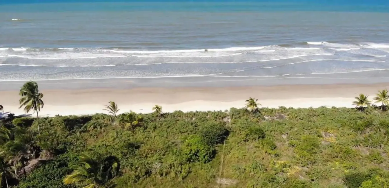 Foto 6 de Terreno / Lote à venda, 20000m2 em Urucuca - BA