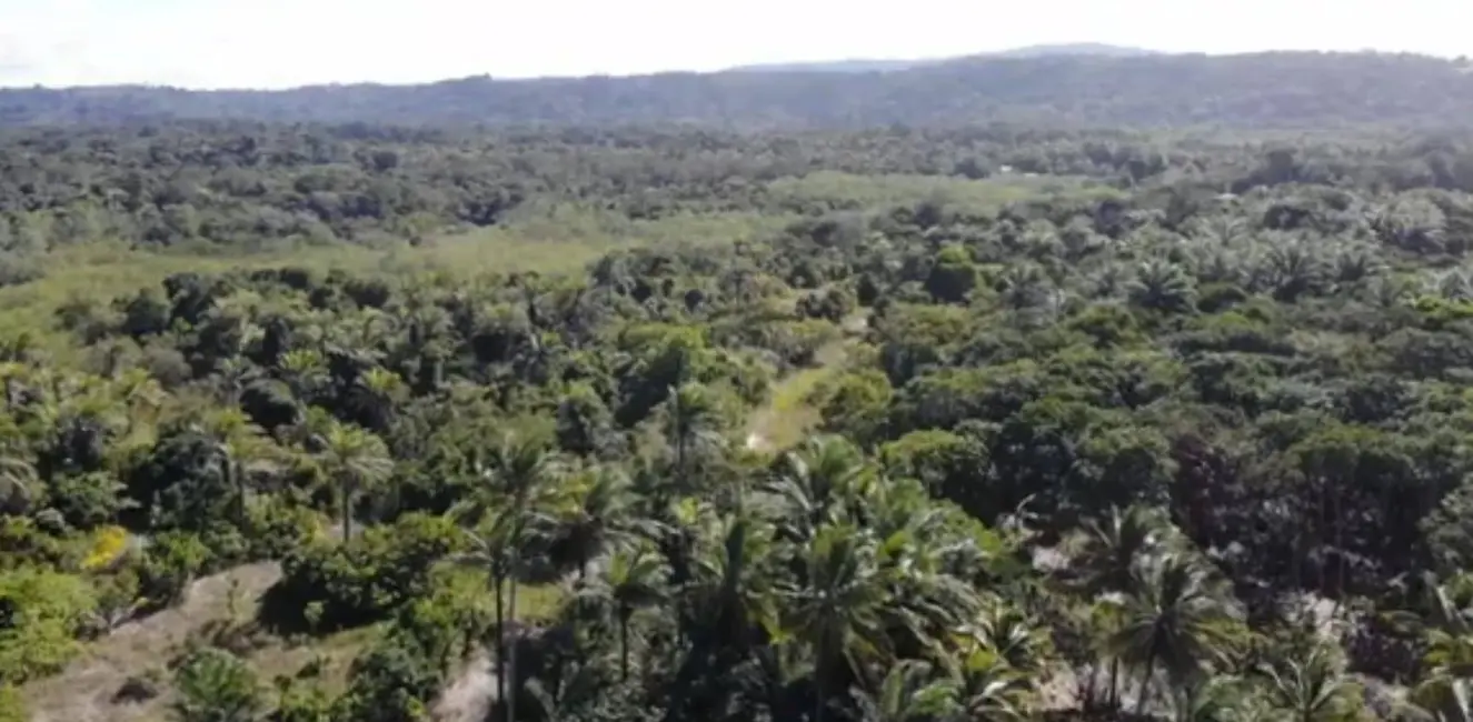 Foto 2 de Terreno / Lote à venda, 20000m2 em Urucuca - BA