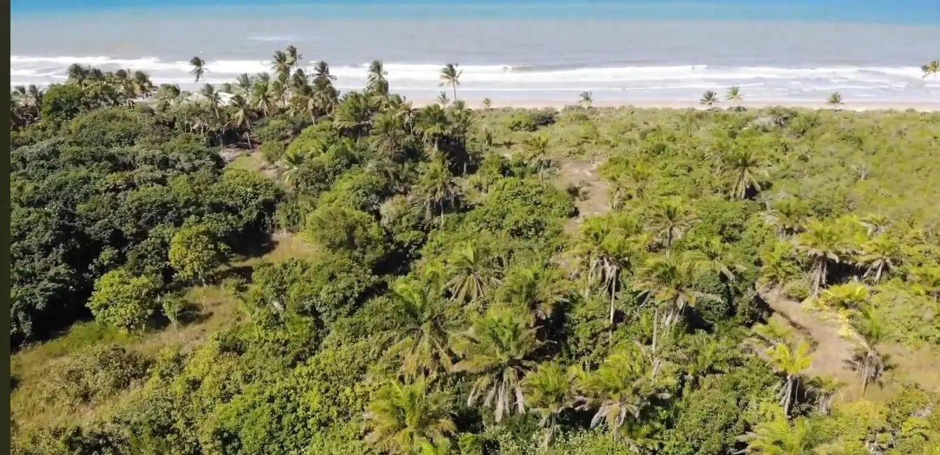 Foto 7 de Terreno / Lote à venda, 20000m2 em Urucuca - BA