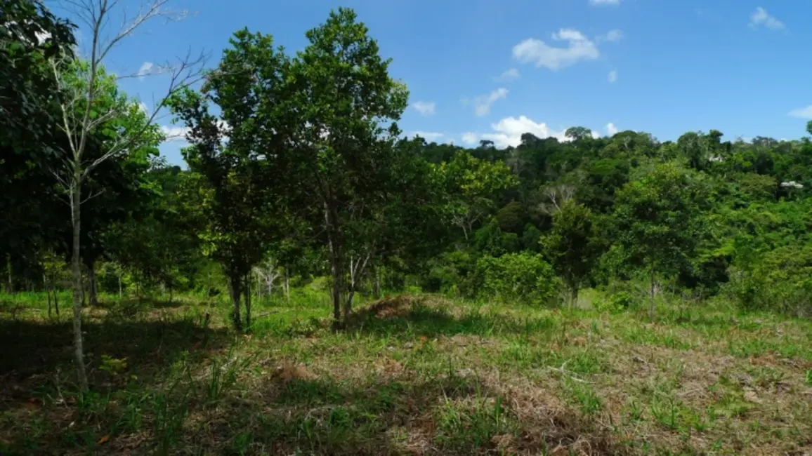 Fazenda / Haras à venda, 80000m2 em Ilheus - BA - imagem 7 Foto 7 de Fazenda / Haras à venda, 80000m2 em Ilheus - BA