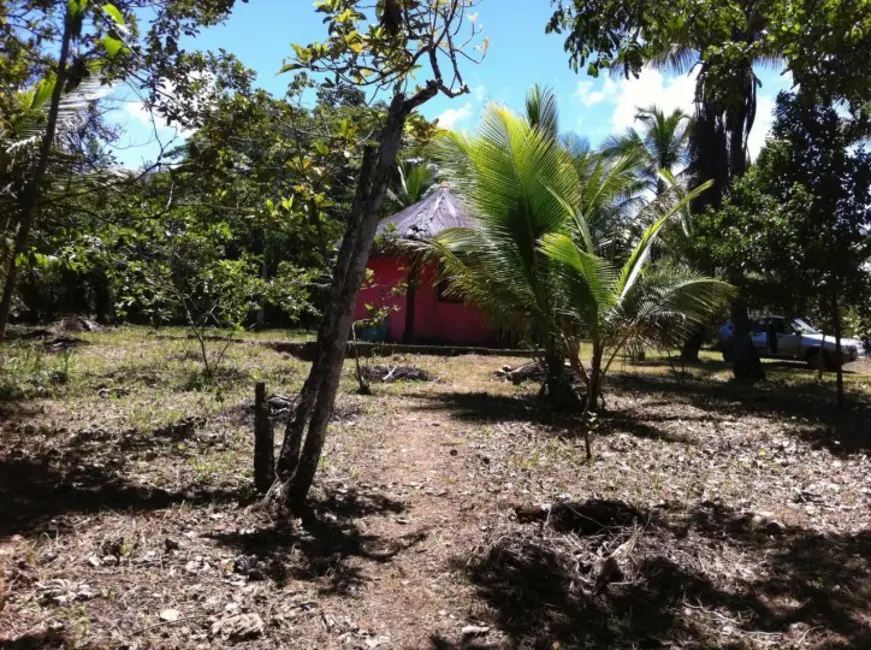 Fazenda / Haras à venda, 80000m2 em Ilheus - BA - imagem 4 Foto 4 de Fazenda / Haras à venda, 80000m2 em Ilheus - BA