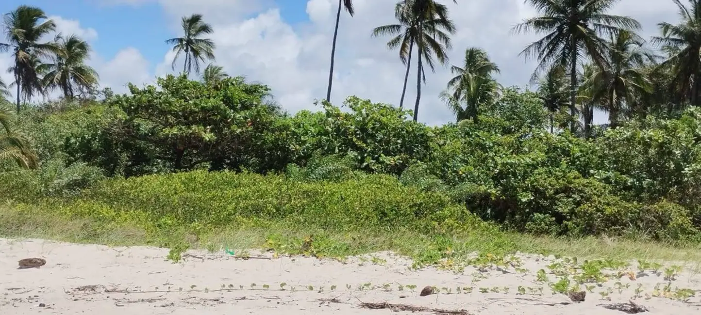 Foto 3 de Terreno / Lote à venda, 150000m2 em Urucuca - BA