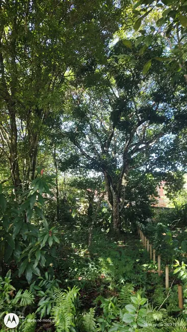 Foto 1 de Terreno / Lote à venda, 335m2 em Urucuca - BA