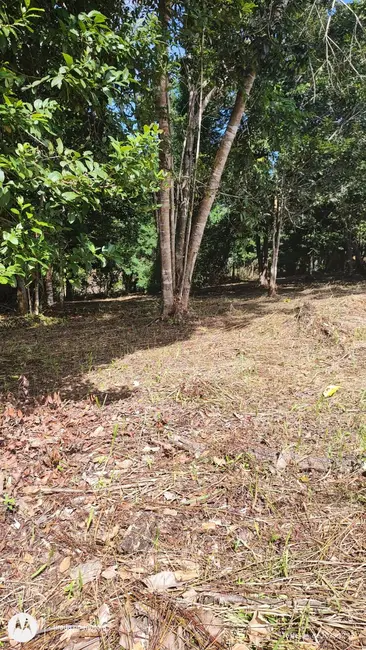 Foto 2 de Terreno / Lote à venda, 705m2 em Urucuca - BA