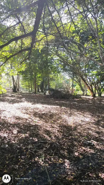 Foto 1 de Terreno / Lote à venda, 705m2 em Urucuca - BA