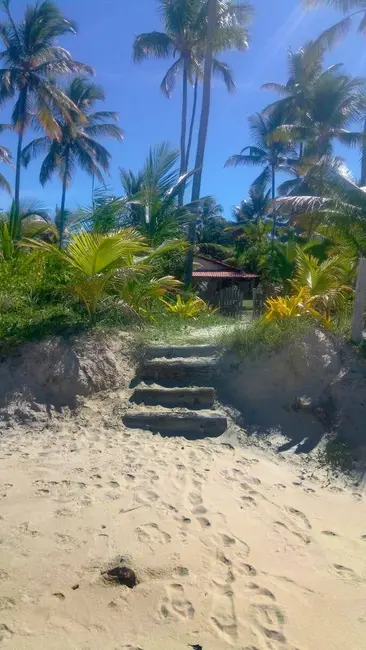 Foto 3 de Casa com 5 quartos à venda, 1870m2 em Urucuca - BA