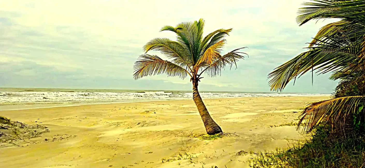 Foto 6 de Casa com 5 quartos à venda, 1870m2 em Urucuca - BA