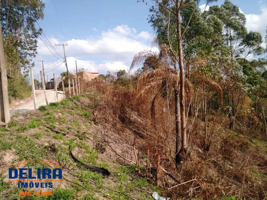 Foto 3 de Terreno / Lote à venda, 300m2 em Mairipora - SP