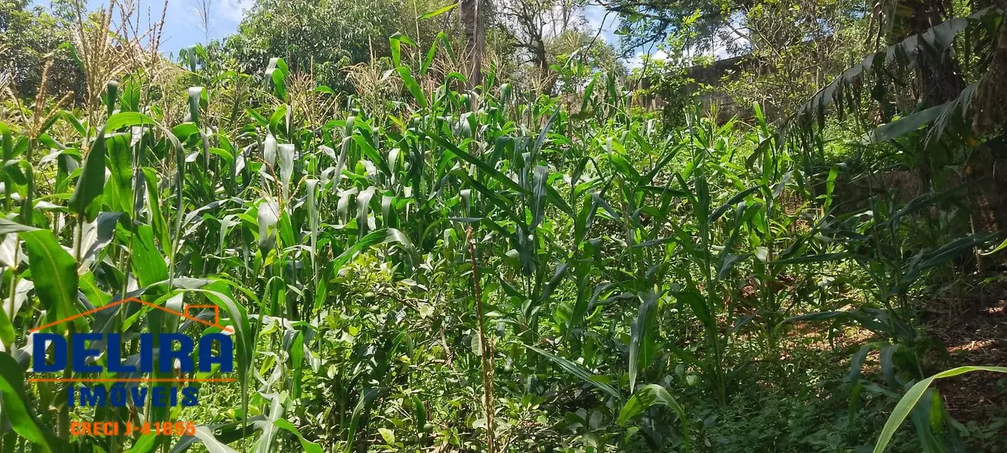Foto 6 de Terreno / Lote à venda, 1358m2 em Mairipora - SP