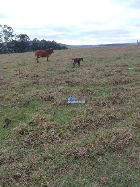 Foto 7 de Sítio / Rancho à venda, 605000m2 em Barao De Antonina - SP