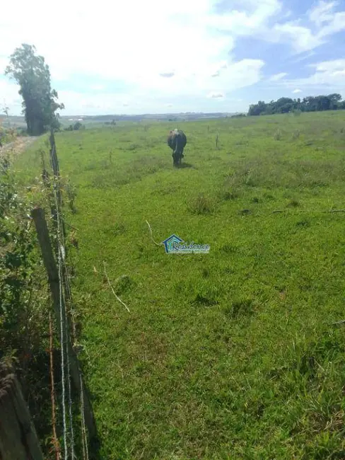 Foto 8 de Sítio / Rancho à venda, 605000m2 em Barao De Antonina - SP