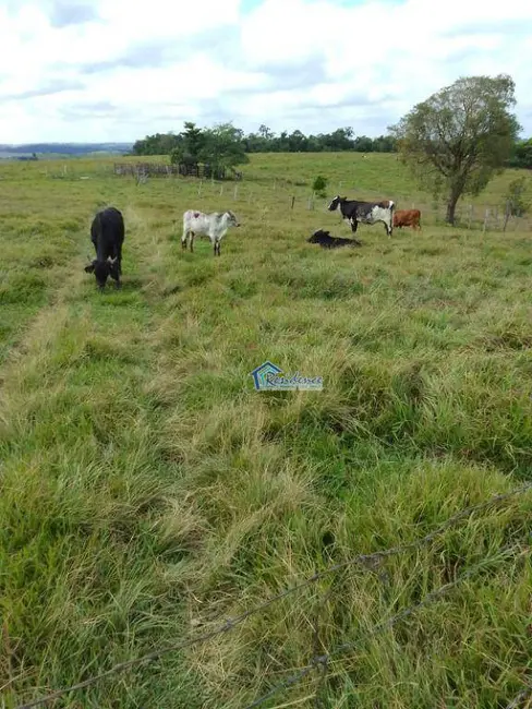 Foto 9 de Sítio / Rancho à venda, 605000m2 em Barao De Antonina - SP