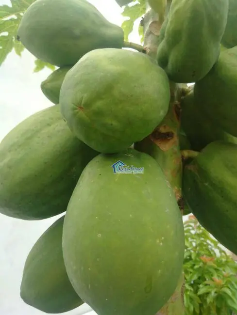 Foto 3 de Casa com 3 quartos à venda, 300m2 em Jardim Maringá, Indaiatuba - SP