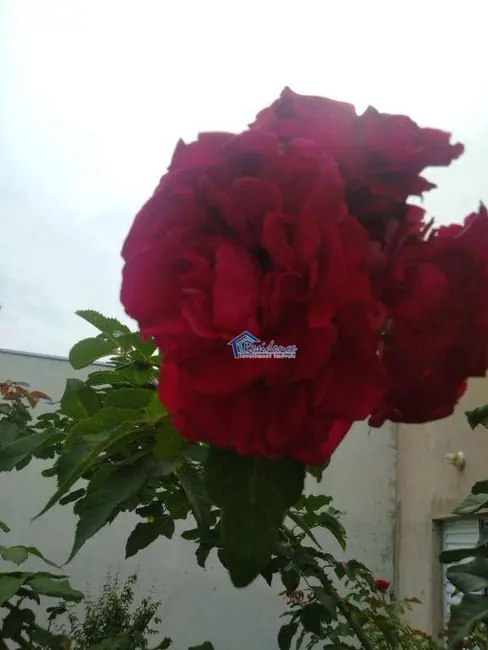 Foto 8 de Casa com 3 quartos à venda, 300m2 em Jardim Maringá, Indaiatuba - SP