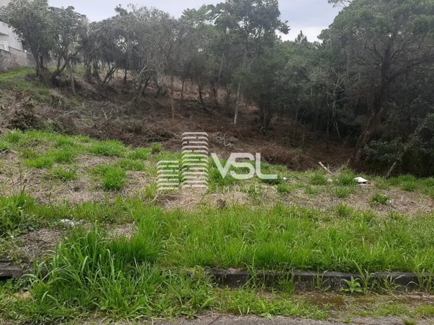 Foto 4 de Terreno / Lote à venda, 1595m2 em João Paulo, Florianopolis - SC