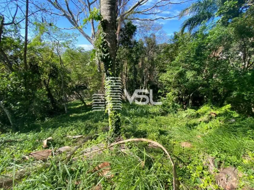 Foto 9 de Terreno / Lote à venda, 775m2 em Córrego Grande, Florianopolis - SC