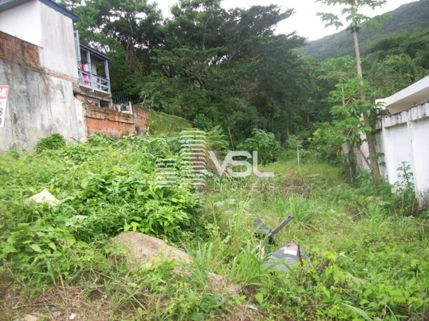 Terreno / Lote à venda, 345m2 em Monte Verde, Florianopolis - SC - imagem 5 Foto 5 de Terreno / Lote à venda, 345m2 em Monte Verde, Florianopolis - SC
