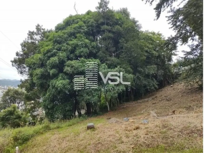 Terreno / Lote à venda, 760m2 em Córrego Grande, Florianopolis - SC - imagem 3 Foto 3 de Terreno / Lote à venda, 760m2 em Córrego Grande, Florianopolis - SC