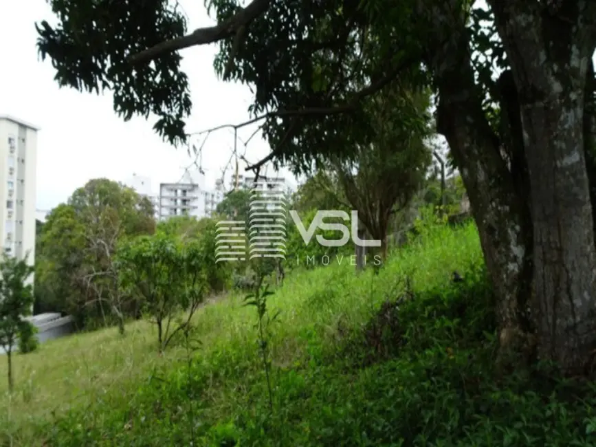 Foto 6 de Terreno / Lote à venda, 640m2 em Itacorubi, Florianopolis - SC