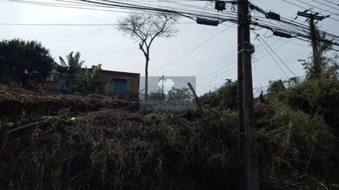Terreno / Lote à venda, 1750m2 em Telemaco Borba - PR - imagem 6 Foto 6 de Terreno / Lote à venda, 1750m2 em Telemaco Borba - PR