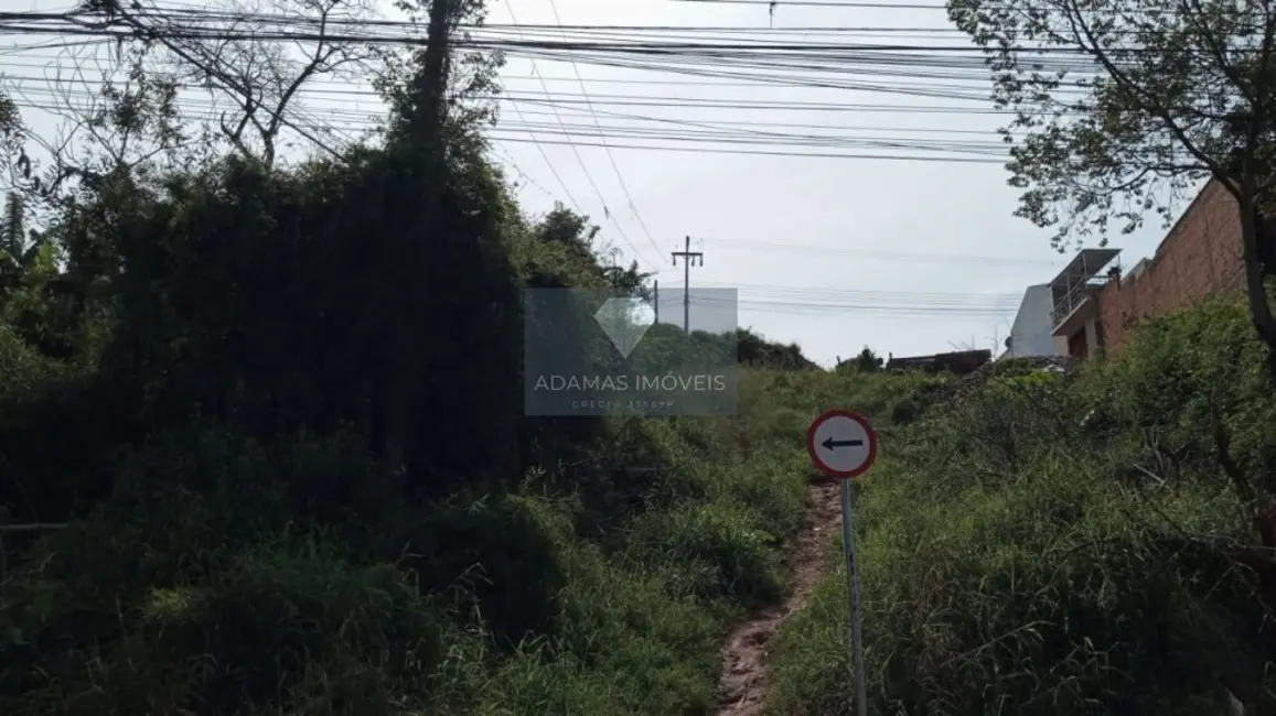 Terreno / Lote à venda, 1750m2 em Telemaco Borba - PR - imagem 8 Foto 8 de Terreno / Lote à venda, 1750m2 em Telemaco Borba - PR