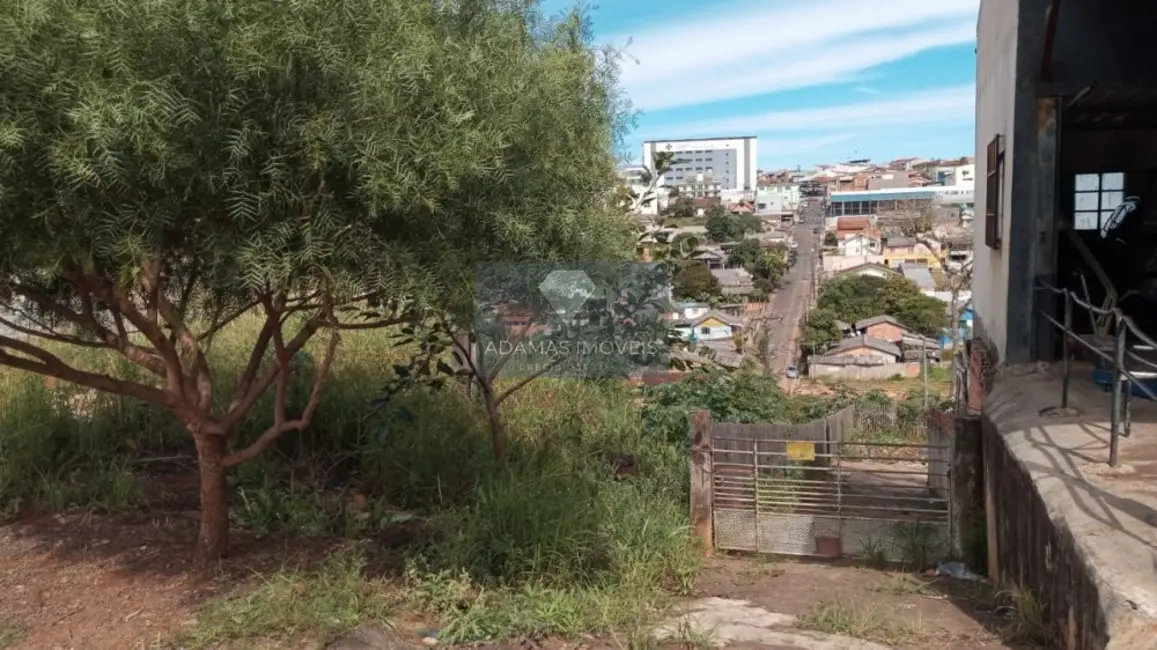 Terreno / Lote à venda, 1750m2 em Telemaco Borba - PR - imagem 7 Foto 7 de Terreno / Lote à venda, 1750m2 em Telemaco Borba - PR