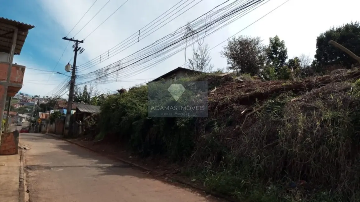 Foto 2 de Terreno / Lote à venda, 1750m2 em Telemaco Borba - PR