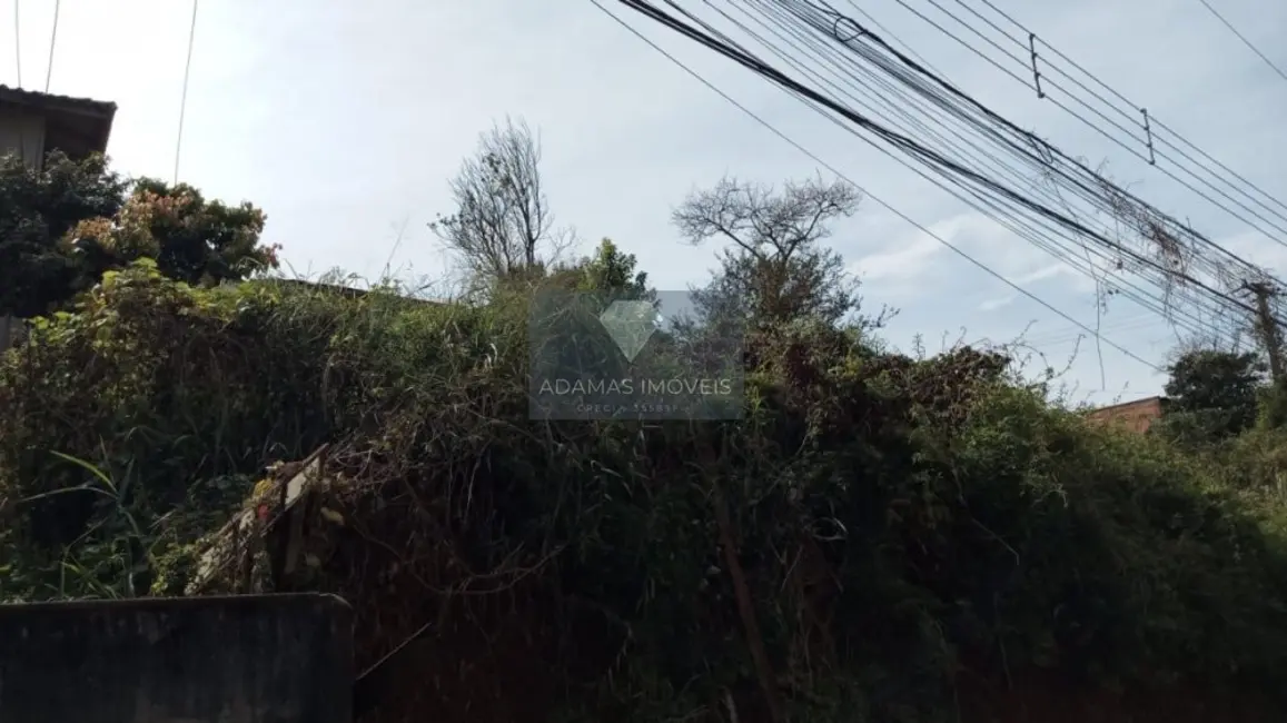 Terreno / Lote à venda, 1750m2 em Telemaco Borba - PR - imagem 3 Foto 3 de Terreno / Lote à venda, 1750m2 em Telemaco Borba - PR