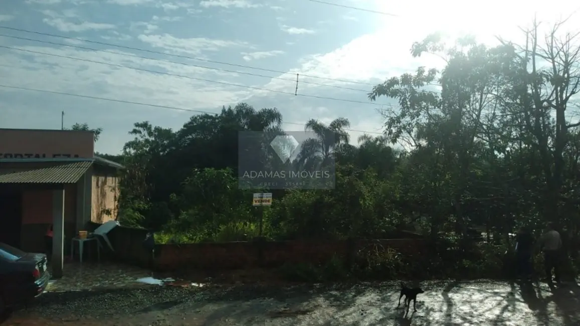 Foto 1 de Terreno / Lote à venda, 295m2 em Telemaco Borba - PR