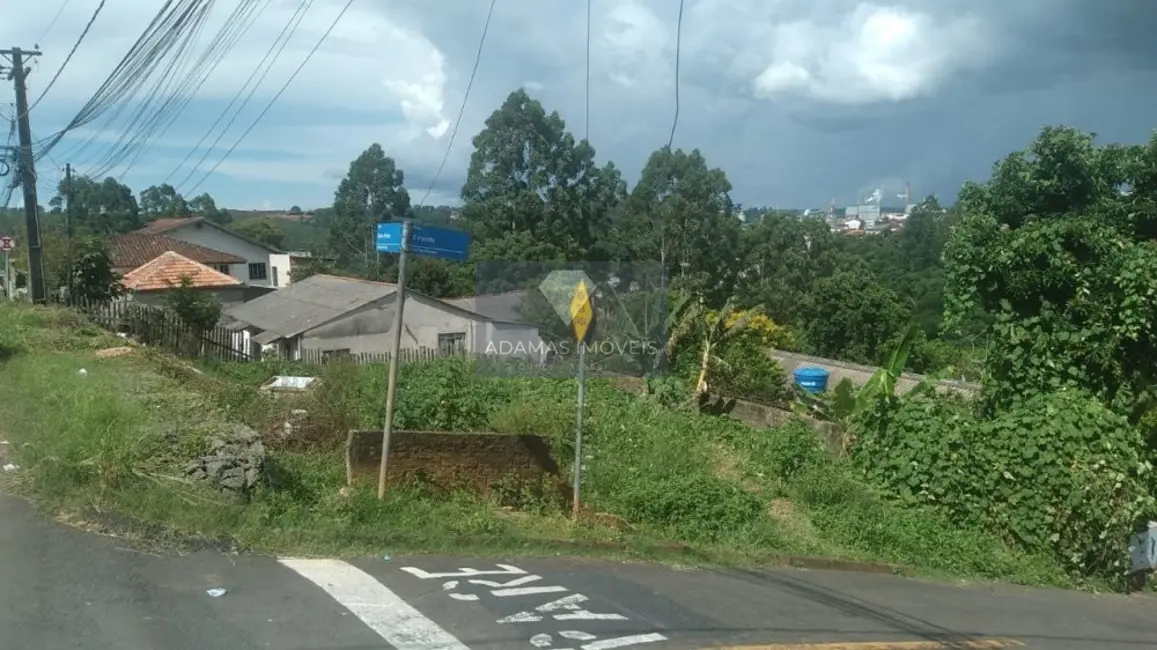 Foto 1 de Terreno / Lote à venda, 327m2 em Vila Esperança, Telemaco Borba - PR