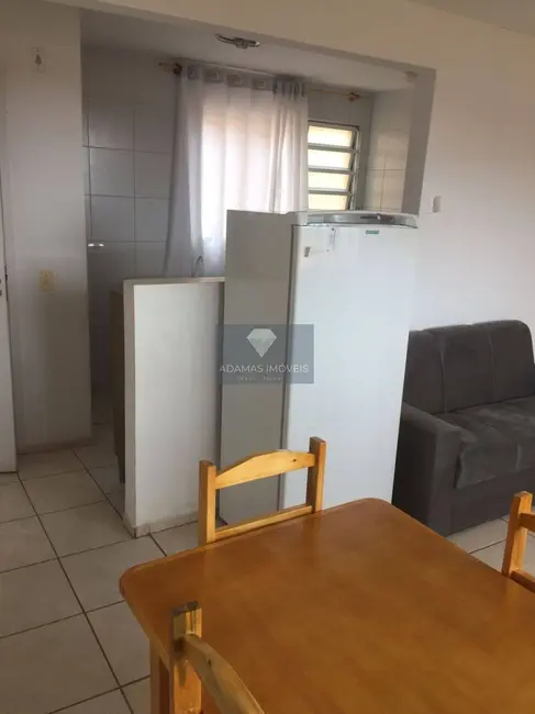 Apartamento com 2 quartos à venda, 60m2 em Parque Limeira Área II, Telemaco Borba - PR - imagem 4 Foto 4 de Apartamento com 2 quartos à venda, 60m2 em Parque Limeira Área II, Telemaco Borba - PR
