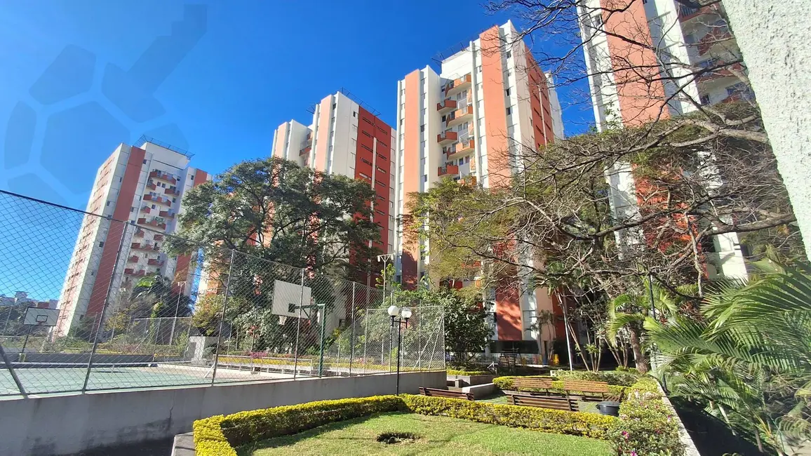 Apartamento com 3 quartos à venda, 63m2 em Jardim Taquaral, São Paulo - SP - imagem 1 Foto 1 de Apartamento com 3 quartos à venda, 63m2 em Jardim Taquaral, São Paulo - SP