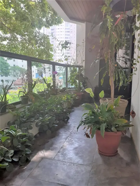 Apartamento com 4 quartos à venda, 172m2 em Moema, São Paulo - SP - imagem 7 Foto 7 de Apartamento com 4 quartos à venda, 172m2 em Moema, São Paulo - SP