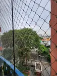 Imagem 11