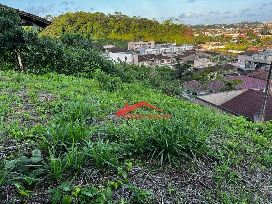Foto 4 de Terreno / Lote à venda, 442m2 em Itaum, Joinville - SC