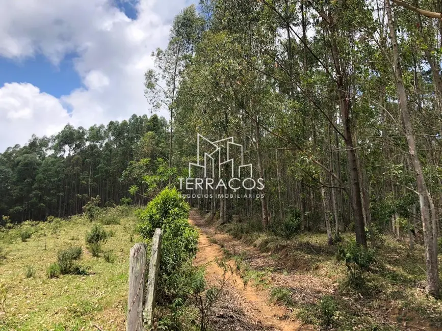 Foto 4 de Terreno / Lote à venda, 2250000m2 em Joanopolis - SP