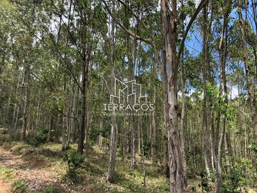 Foto 5 de Terreno / Lote à venda, 2250000m2 em Joanopolis - SP