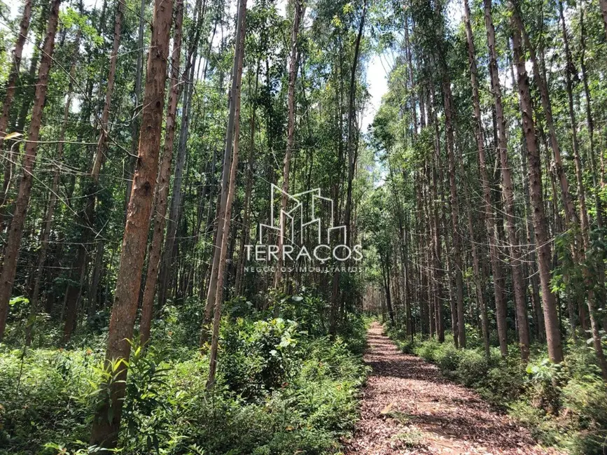 Foto 3 de Terreno / Lote à venda, 2250000m2 em Joanopolis - SP