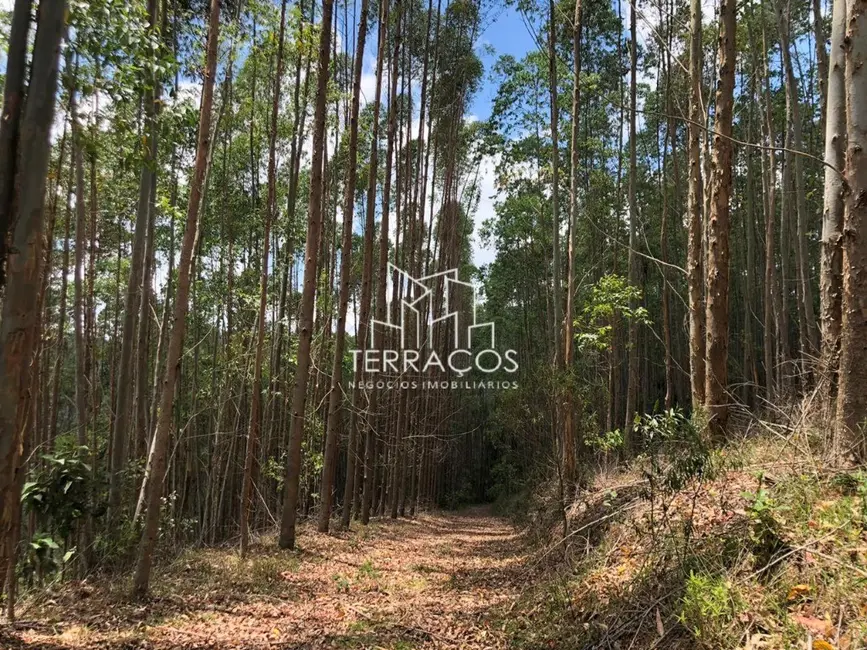 Foto 6 de Terreno / Lote à venda, 2250000m2 em Joanopolis - SP