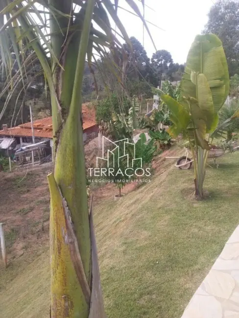 Chácara com 2 quartos à venda, 173m2 em Pinhalzinho - SP - imagem 9 Foto 9 de Chácara com 2 quartos à venda, 173m2 em Pinhalzinho - SP