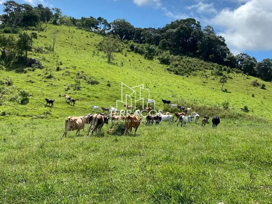 Foto 1 de Sítio / Rancho à venda, 60000m2 em Itapeva - MG