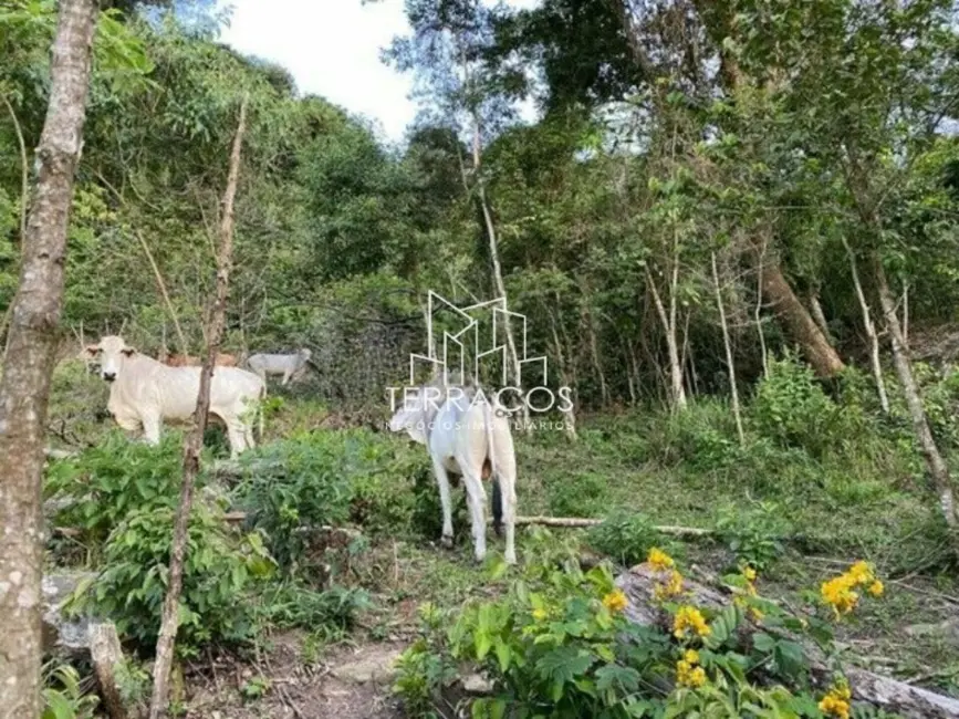 Foto 2 de Sítio / Rancho à venda, 60000m2 em Itapeva - MG