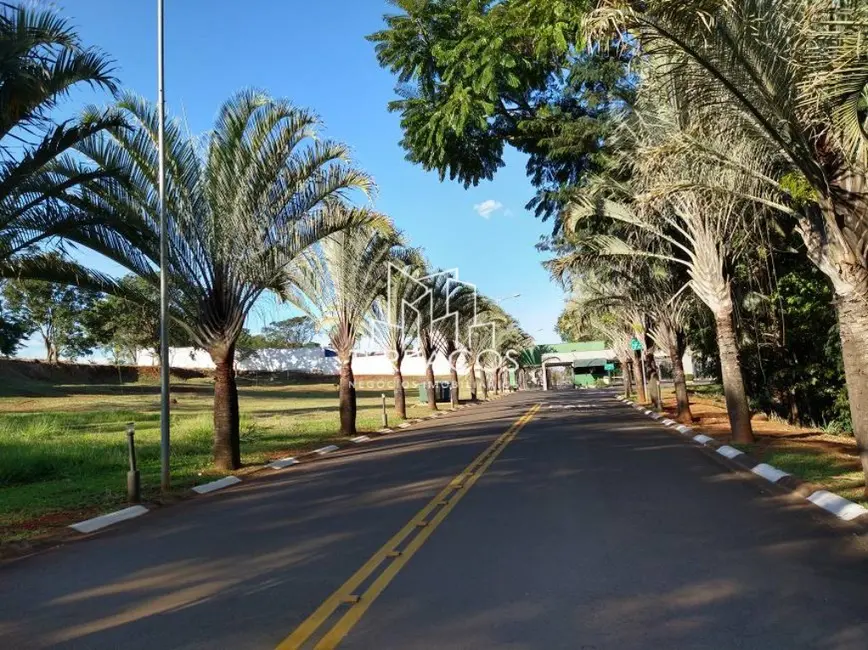 Terreno / Lote à venda, 652m2 em Jardim Fortaleza, Paulinia - SP - imagem 8 Foto 8 de Terreno / Lote à venda, 652m2 em Jardim Fortaleza, Paulinia - SP