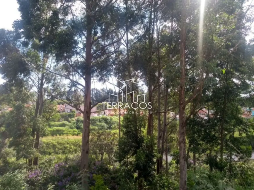 Foto 8 de Terreno / Lote à venda, 362m2 em Jardim Celeste, Jundiai - SP
