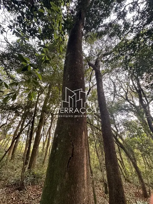 Foto 8 de Terreno / Lote à venda, 20000m2 em Bueno Brandao - MG